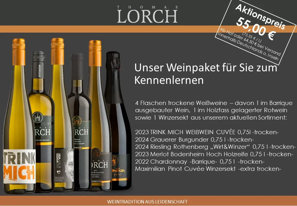 Weinberge des Weinguts Thomas Lorch in Bodenheim, Rheinhessen